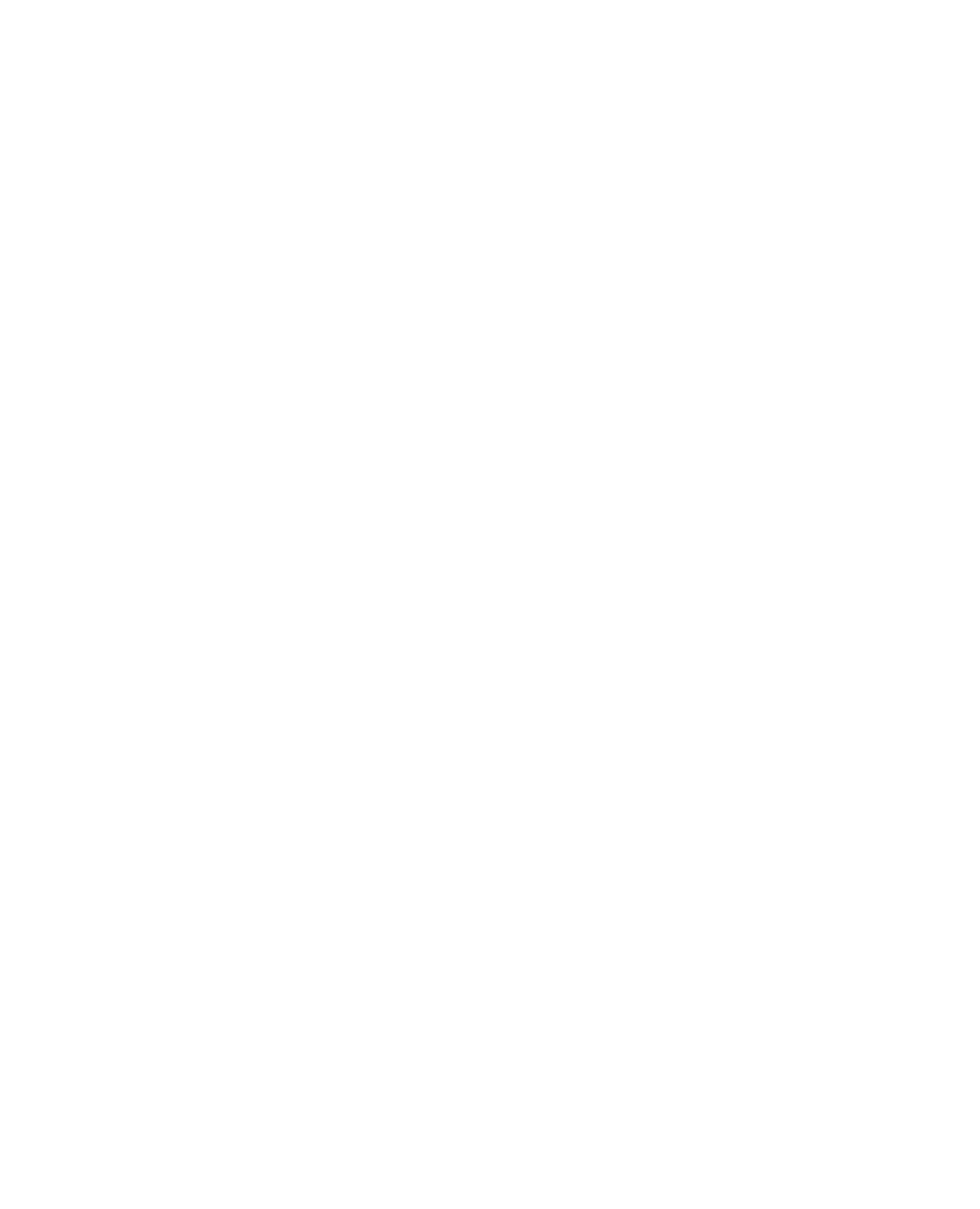 Maxxam Art Collective | Volkan Demirci